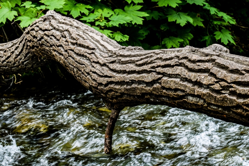 Thunderbird Falls Log